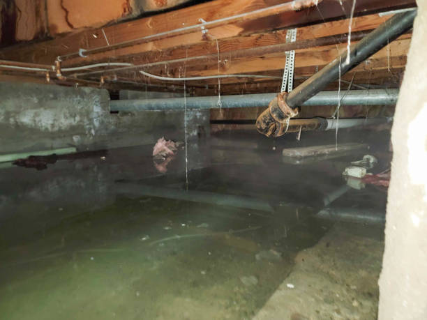 Best Emergency water damage restoration  in Graton, CA