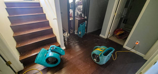 Best Water damage restoration near me  in Graton, CA