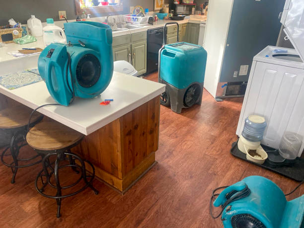  Graton, CA Water damage restoration Pros