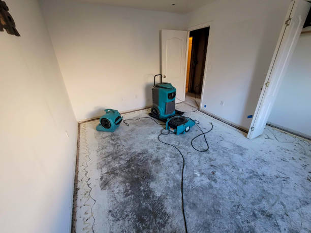 Best Flooded house restoration  in Graton, CA