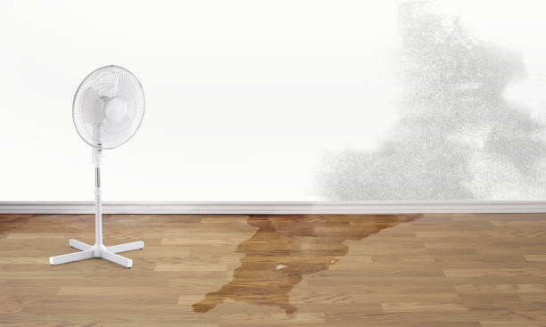 Best Water damage restoration insurance claims  in Graton, CA