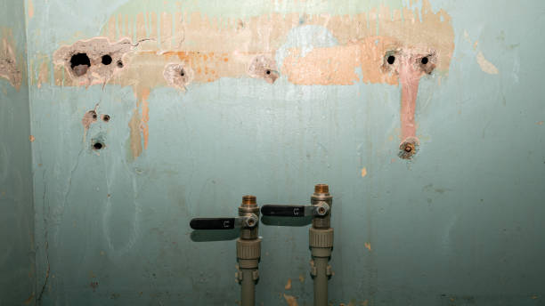 Best Emergency water damage restoration  in Graton, CA