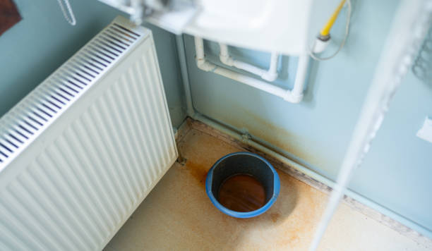 Best Professional water damage repair  in Graton, CA