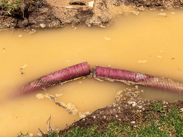 Best 24-hour water damage restoration  in Graton, CA