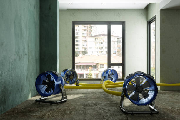 Best Local water damage restoration  in Graton, CA