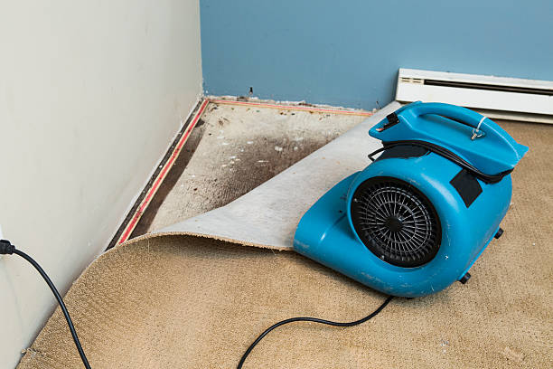 Best Water damage contractors near me  in Graton, CA